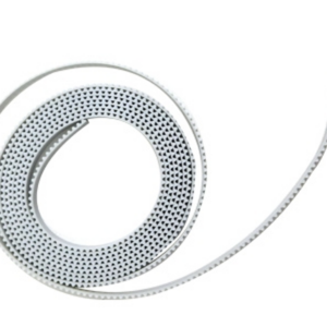 CG-60st Y Belt 60 - M800920