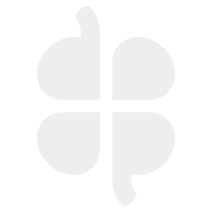 Roland BELT,A 4CEBRF 5*220 - 11929142